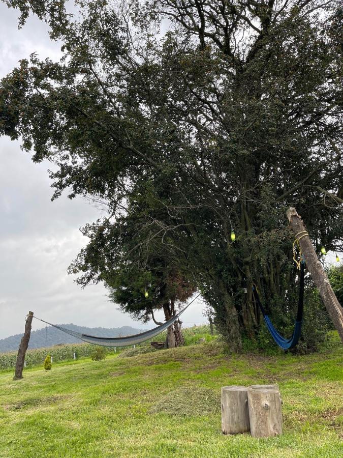 Floresta Casa De Campo Amecameca Extérieur photo